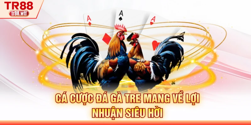 Cá cược đá gà tre mang về lợi nhuận siêu hời