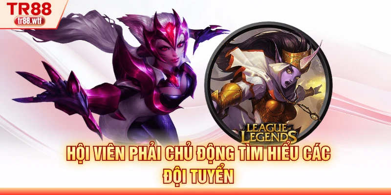 Hội viên phải chủ động tìm hiểu các đội tuyển
