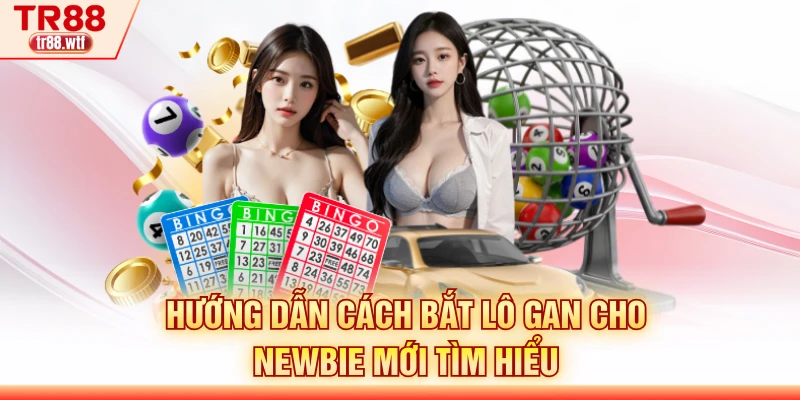Hướng dẫn cách bắt lô gan cho newbie mới tìm hiểu